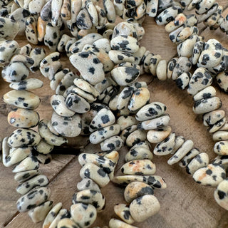 5-8mm Dalmatian Jasper Chip Bead Strand