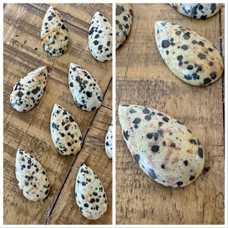 28x15mm Dalmatian Jasper Teardrop Cabochon